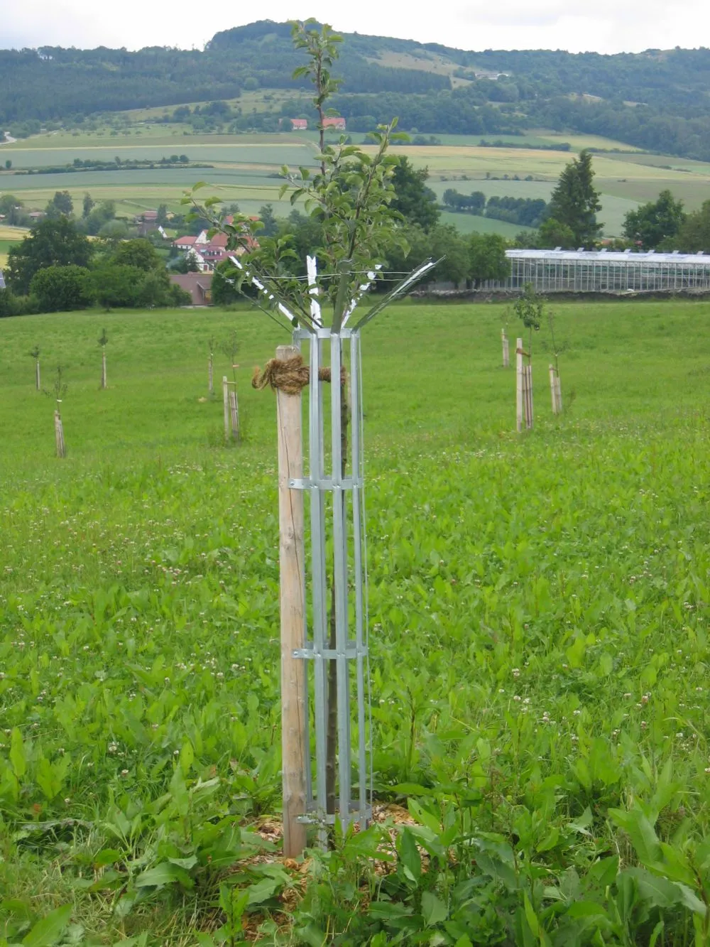 Werkzeuge zum Schutz von Bäumen